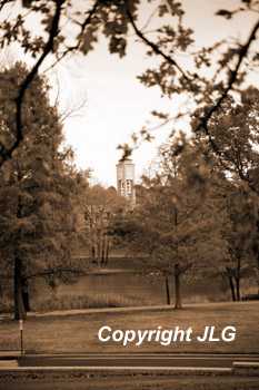 Tower Across Pond 