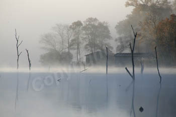 Rising Fog - Echo Lake, TX